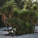 مكان تخييم La Casa De Lylou Location De *