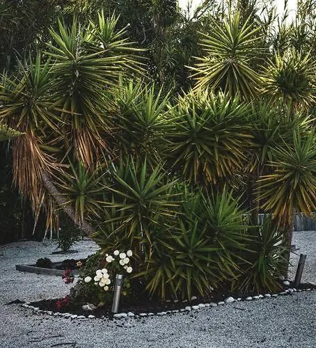 Κάμπινγκ La Casa De Lylou Location De *